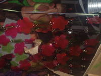 vakantiekreta2007 066.jpg