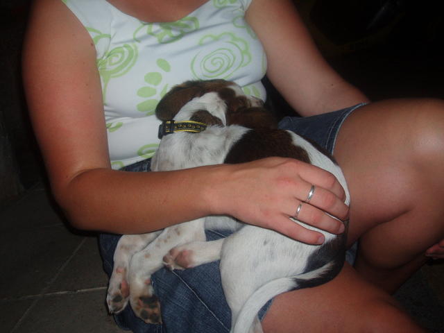 vakantiekreta2006 022.jpg