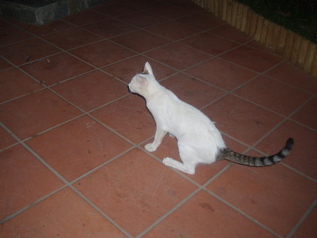 vakantiekreta2006 042.jpg