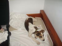 vakantiekreta2006 058.jpg