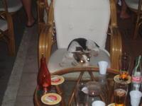 vakantiekreta2006 088.jpg